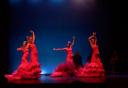 Estudio de Danza MG 2006: Flamenco